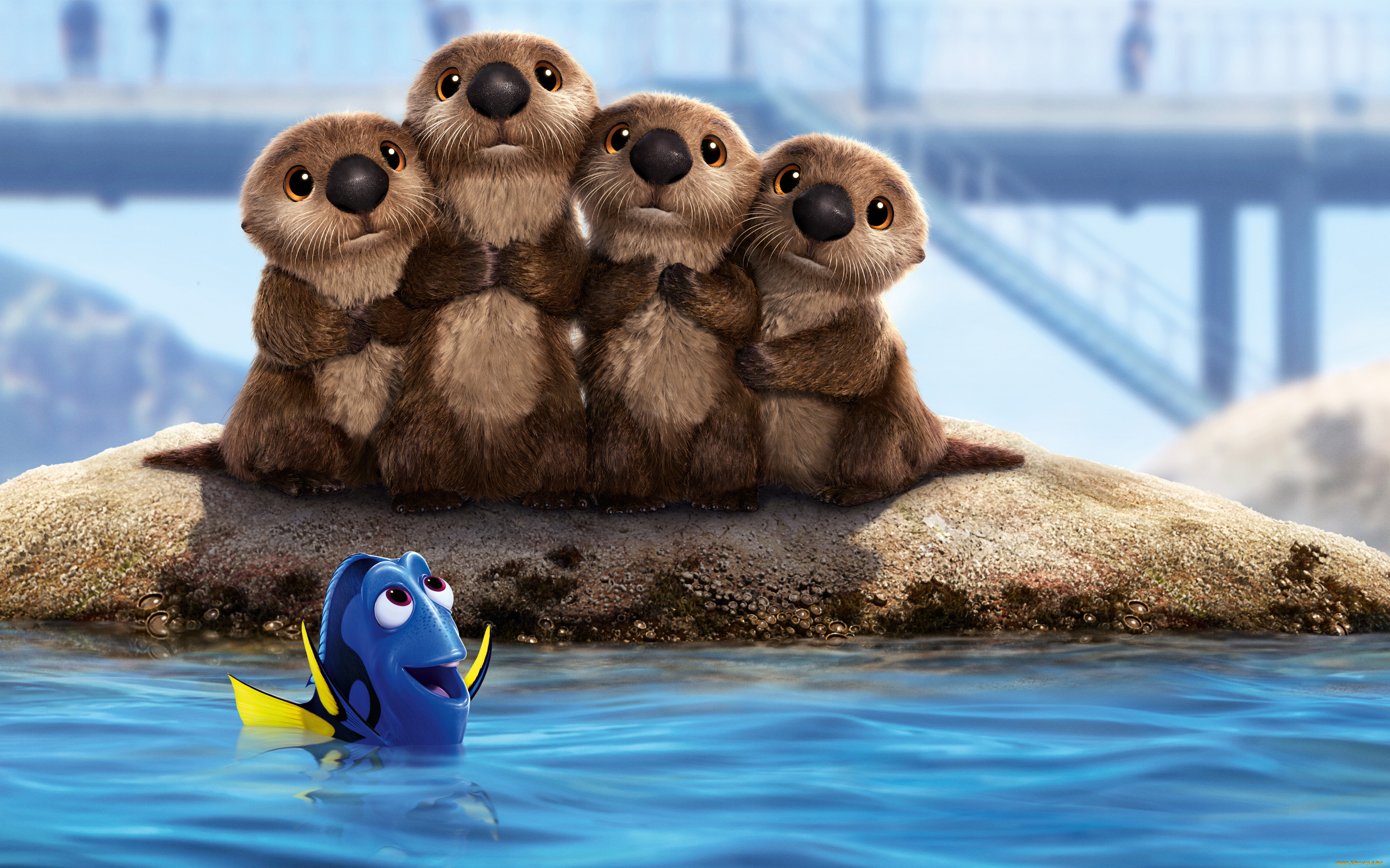 , finding dory, finding, dory